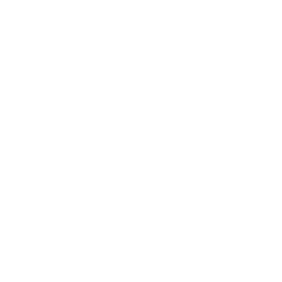 Recon Labs